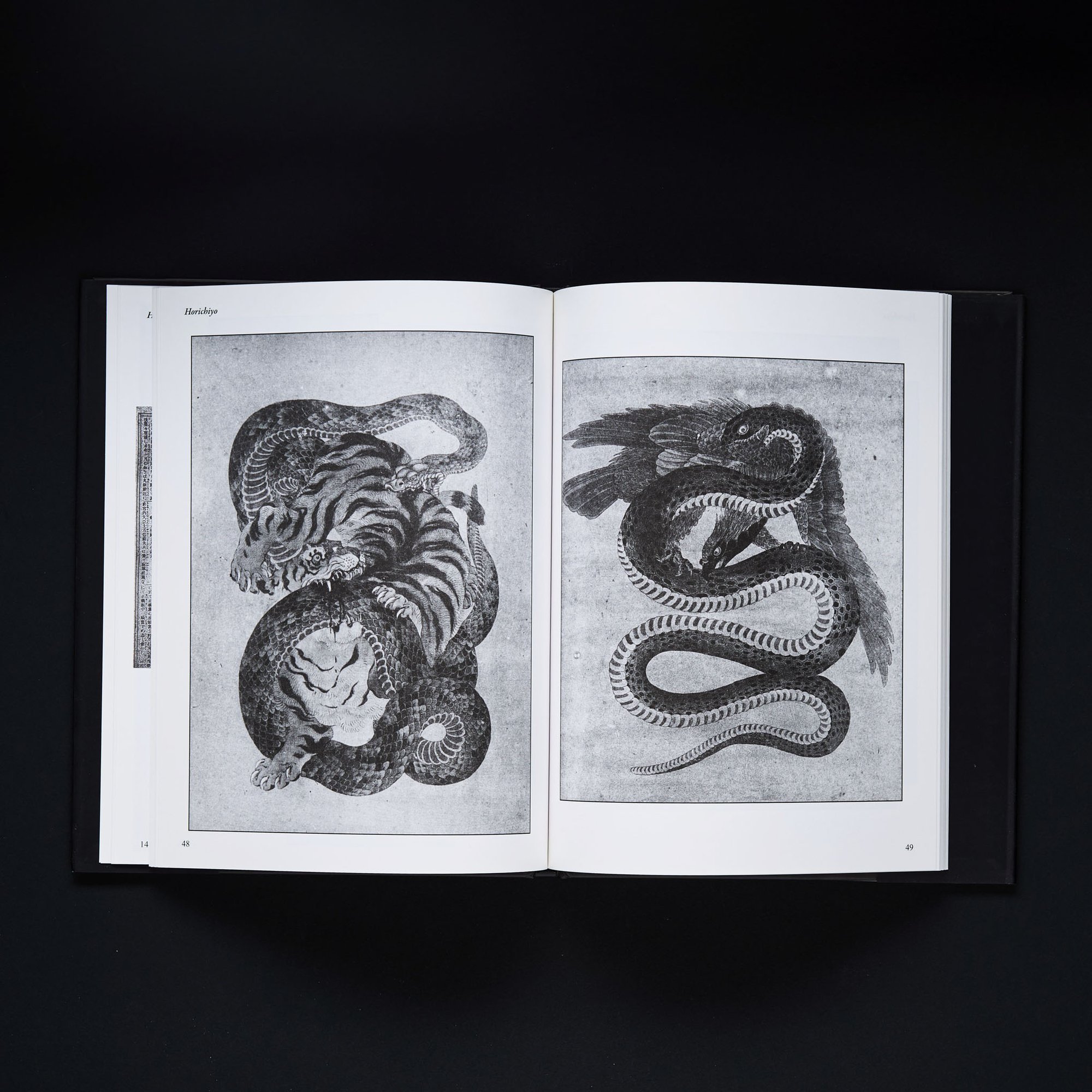 BEAUTY AND VIOLENCE HORICHIYO | GAKUSEIBOOKS